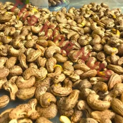 HẠT ĐIỀU BÌNH PHƯỚC RANG MUỐI LOẠI 1 500 GRAM HÚT CHÂN KHÔNG thekingnuts.com