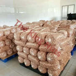 HẠT ĐIỀU BÌNH PHƯỚC RANG MUỐI LOẠI 1 500 GRAM HÚT CHÂN KHÔNG thekingnuts.com